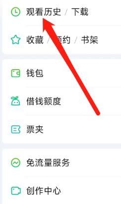爱奇艺软件查看观看历史