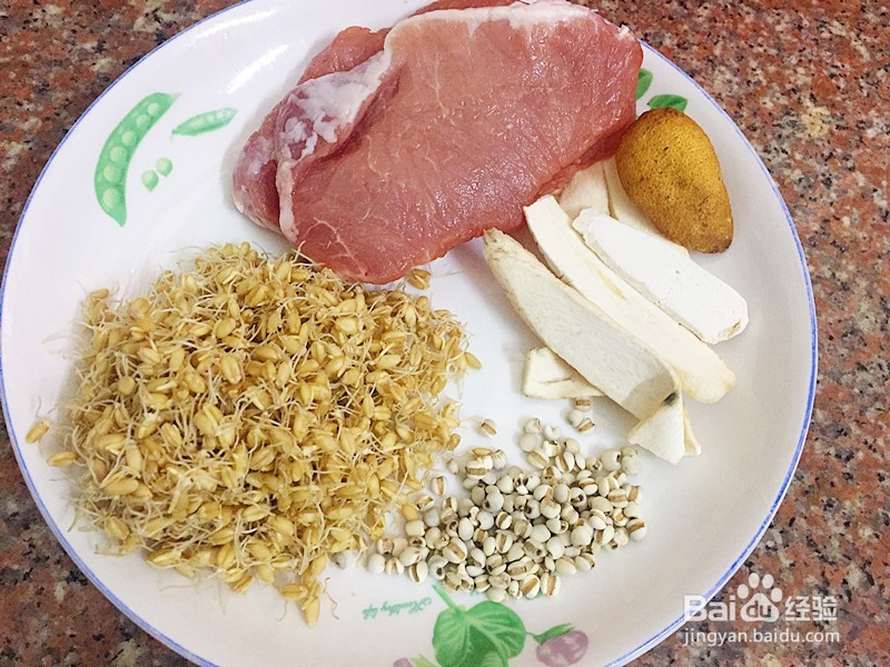 麦芽瘦肉汤怎么做