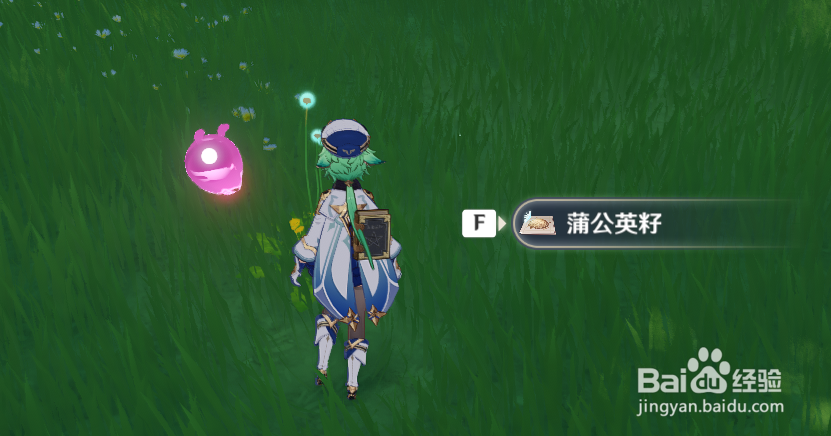 原神蒲公英怎么采集