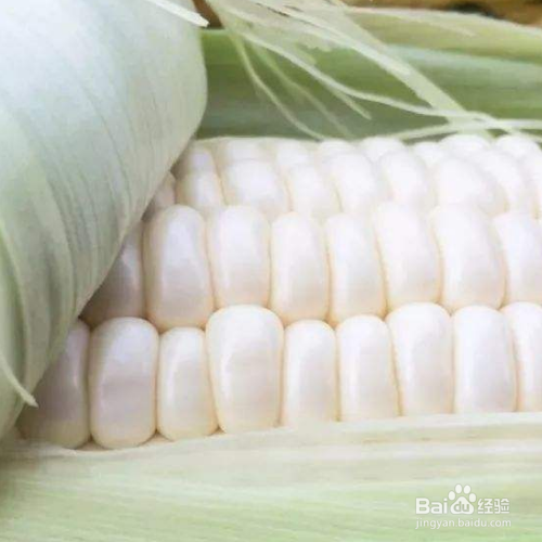 为什么白色玉米煮后变橙色