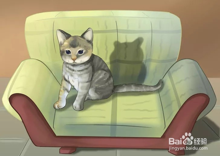 怎样照顾幼猫？
