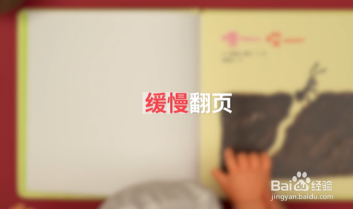 0-6个月的宝宝绘本