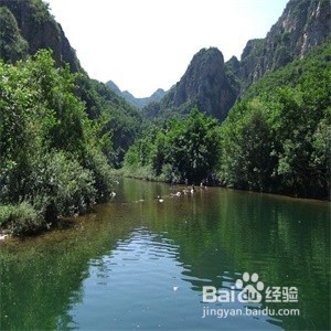 怎样拍出背景模糊的照片