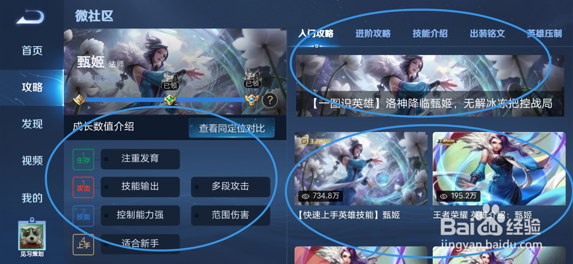 甄姬怎么玩
