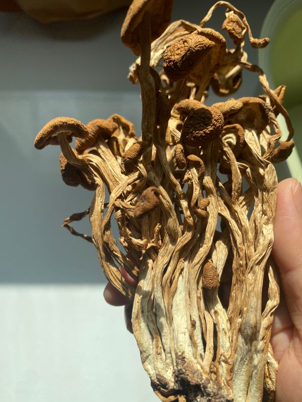 云腿干锅茶树菇