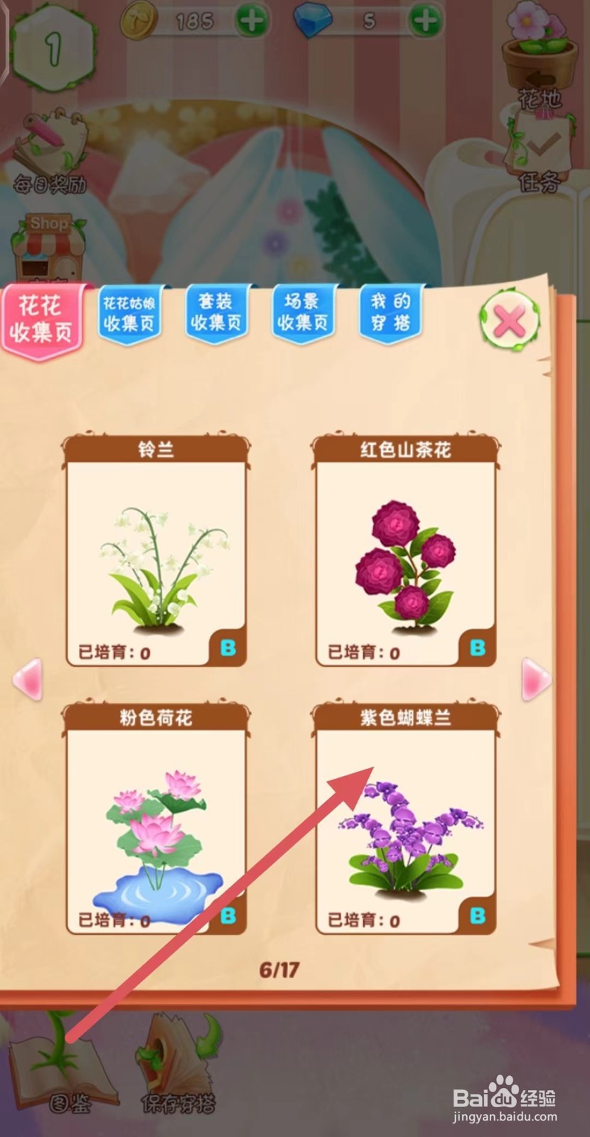 花花姑娘怎么查看紫色蝴蝶兰的生长速度