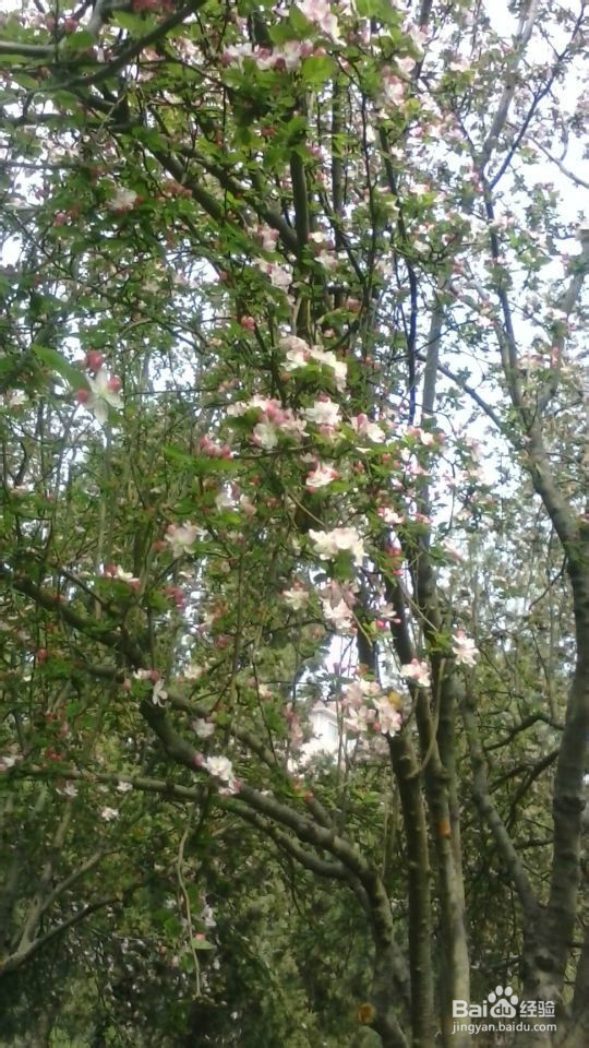 城市中的孩子该如何度过美好周末？