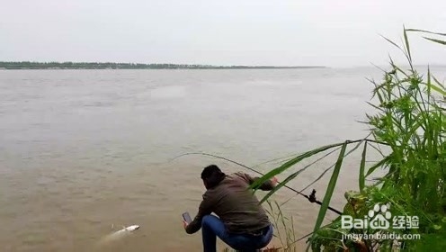 长江冬季路亚翘嘴技巧