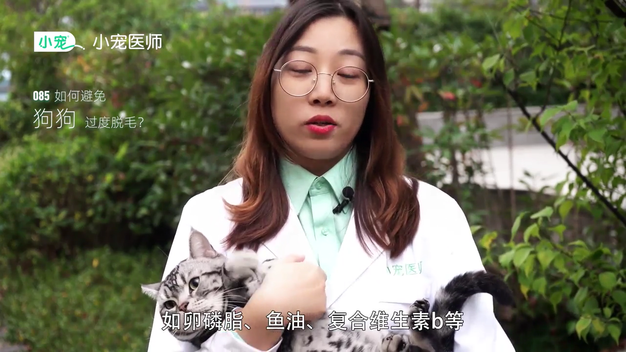 如何避免狗狗过度脱毛