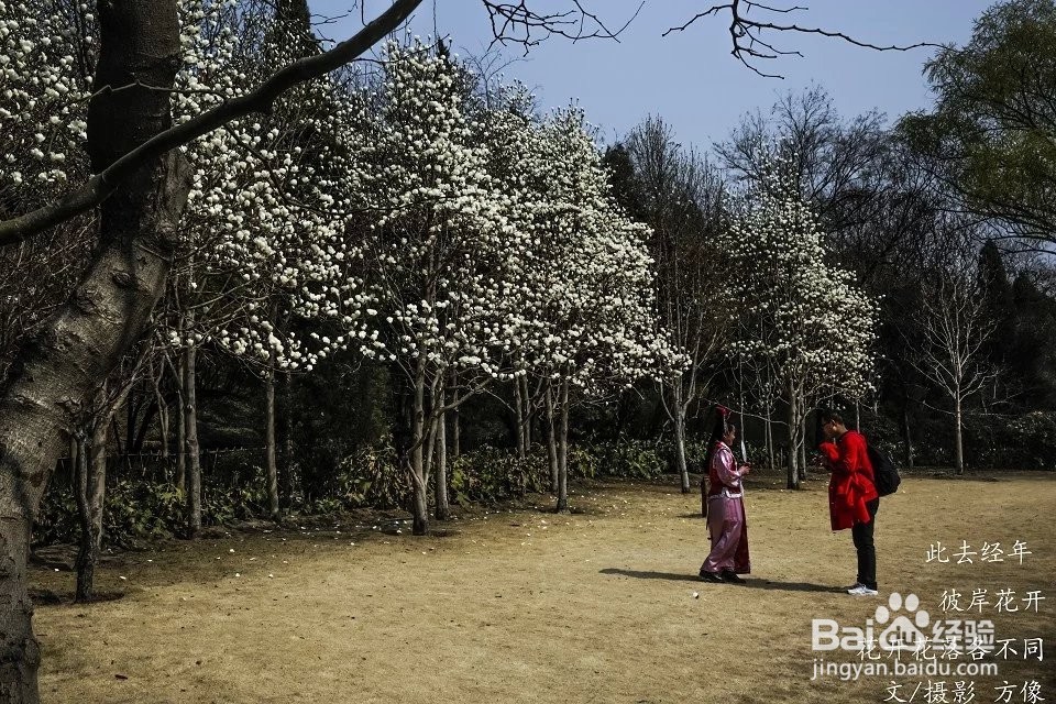 单反相机怎么用鱼眼镜头拍好照片