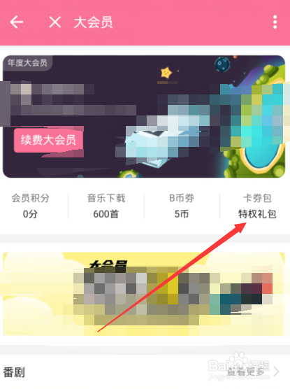 哔哩哔哩b币有什么用，哔哩哔哩b币如何获取