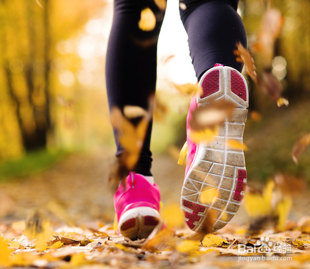 如何选择适合自己的运动装备?