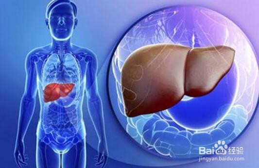 春季怎么养肝护肝