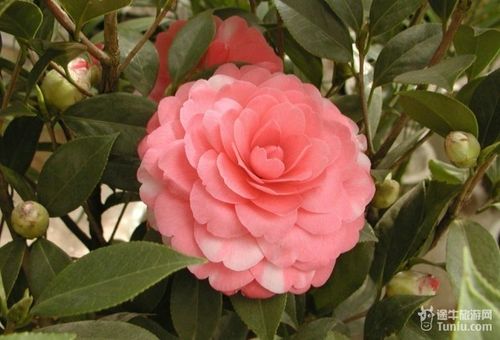 春节旅游去昆明购物攻略