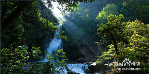 船进神农架 畅游新三峡二日游