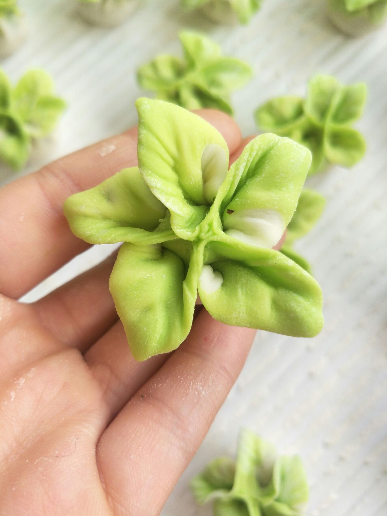 教你如何做出好吃又好看的白菜饺子