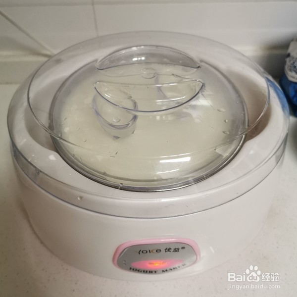 自制酸奶的做法