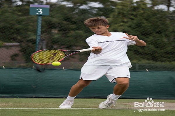 网球初学者要掌握的八大要领