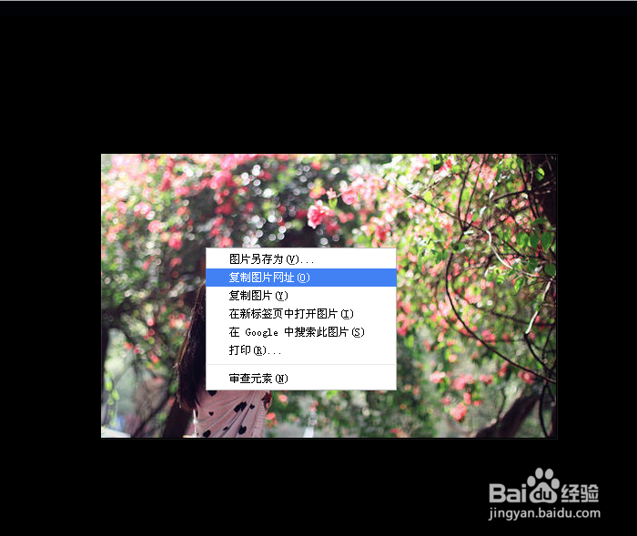 qq空间怎么换背景