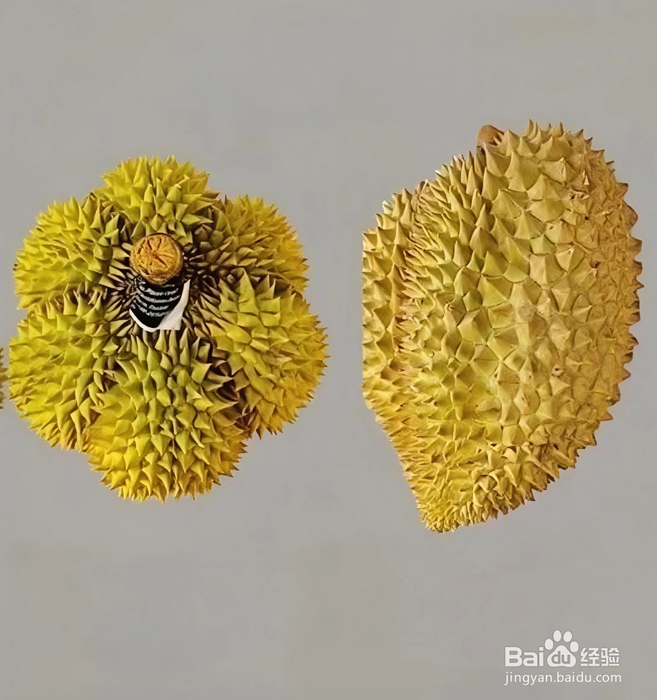 如何挑选榴莲？