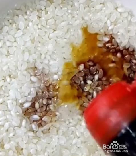 怎样能去除老鼠?