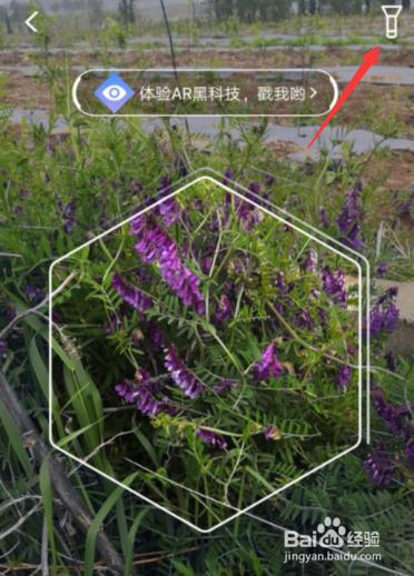 手机支付宝如何识别花朵AR识花怎么用