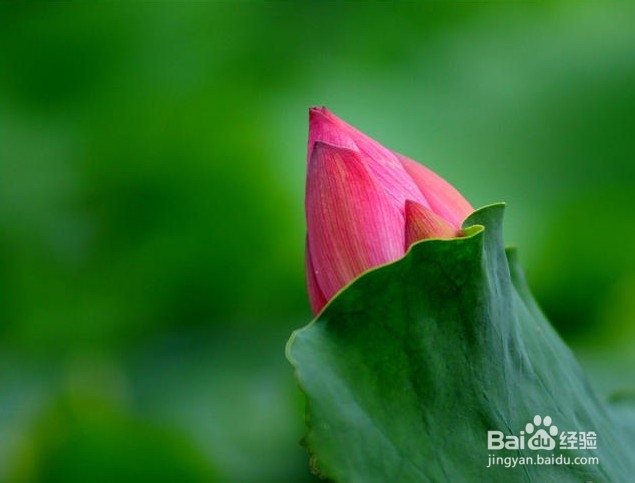 挖掘国内那些好玩的免费景点--【杭州】