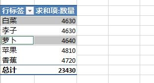 Excel2013：[38]数据透视表字段分组