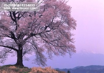 旅客运输办理细则--铁路实作必备部分