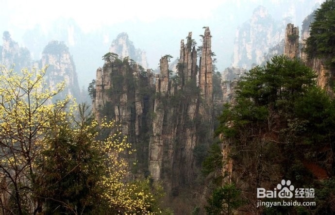 佛山到张家界旅游攻略