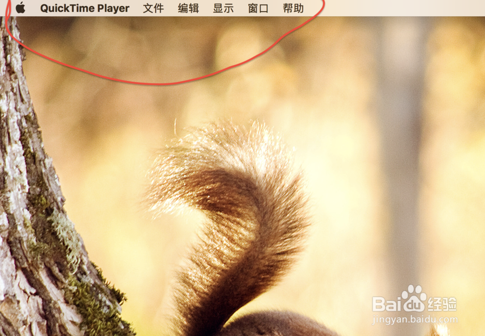 苹果平板怎么连电脑