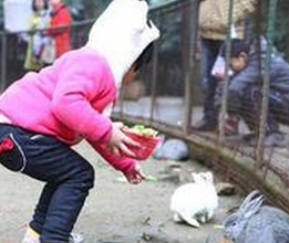 外出带孩子去动物园要注意什么