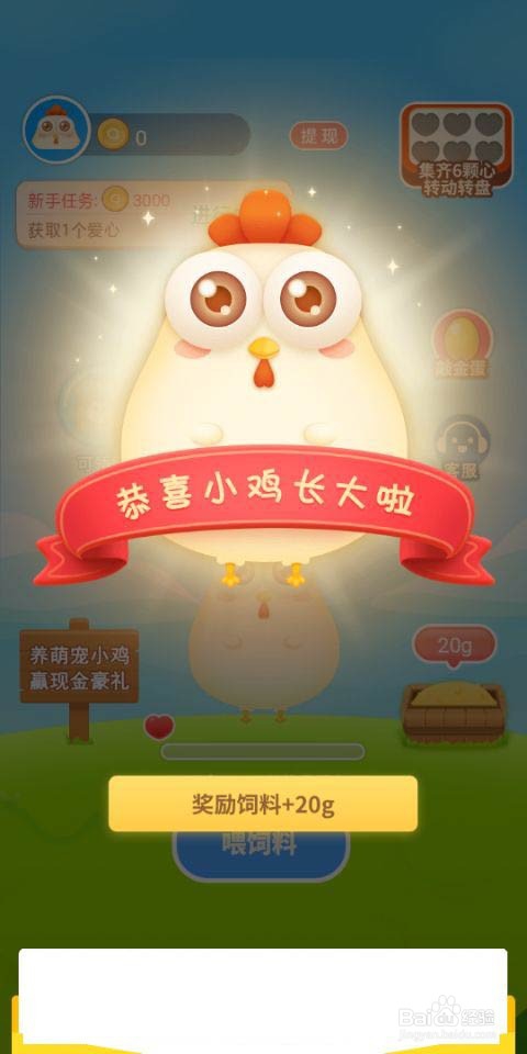 欢乐养鸡场这款手机赚钱游戏怎么玩