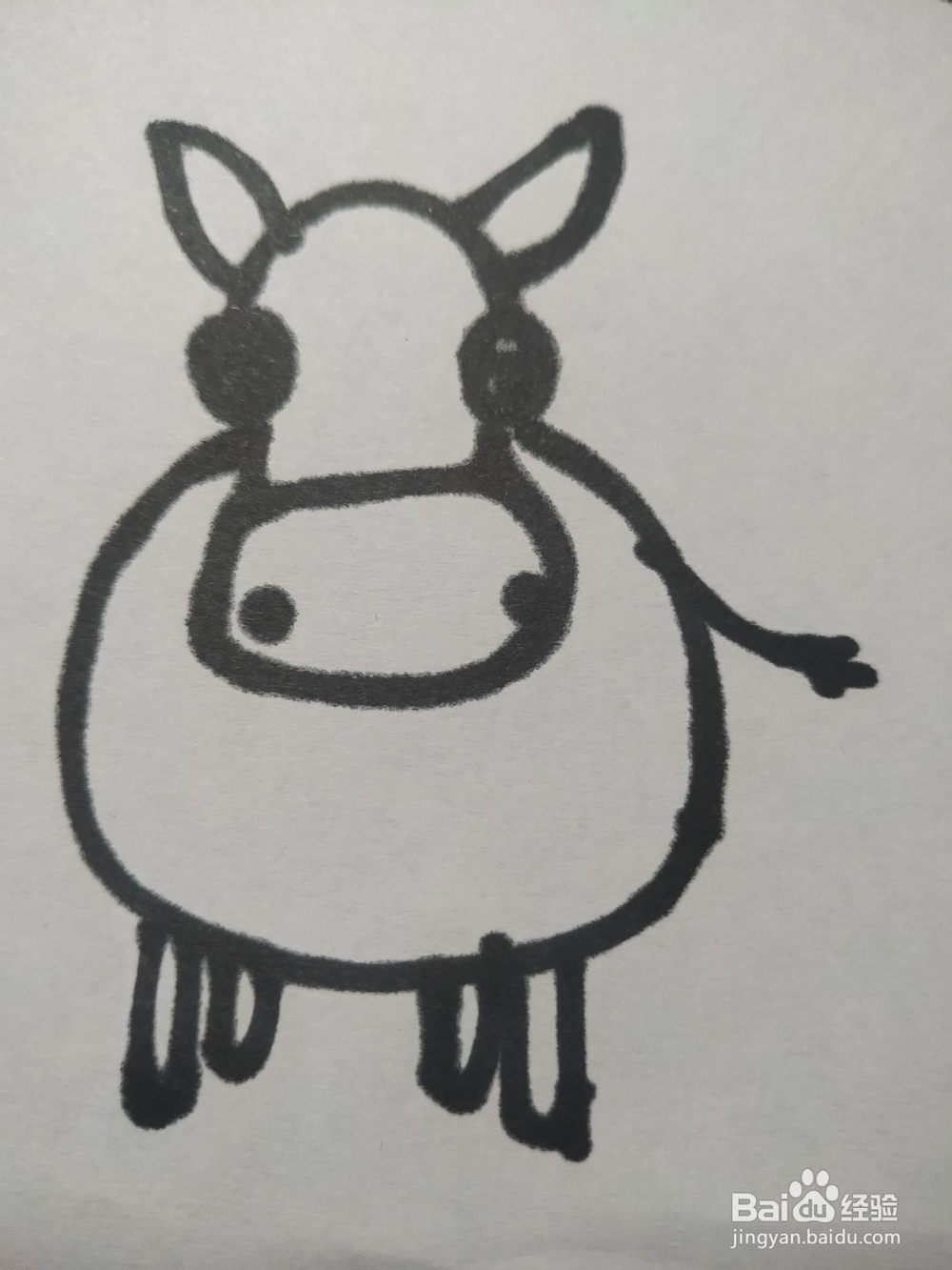 毛驴的简笔画技法13