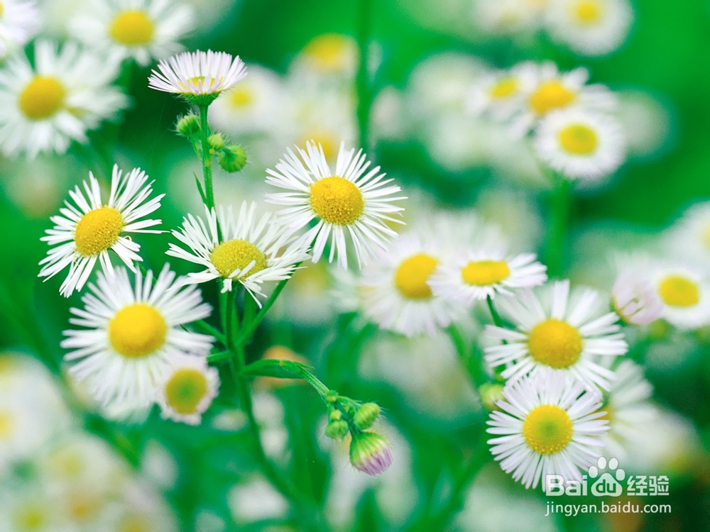 心律失常患者的四大家庭护理方法