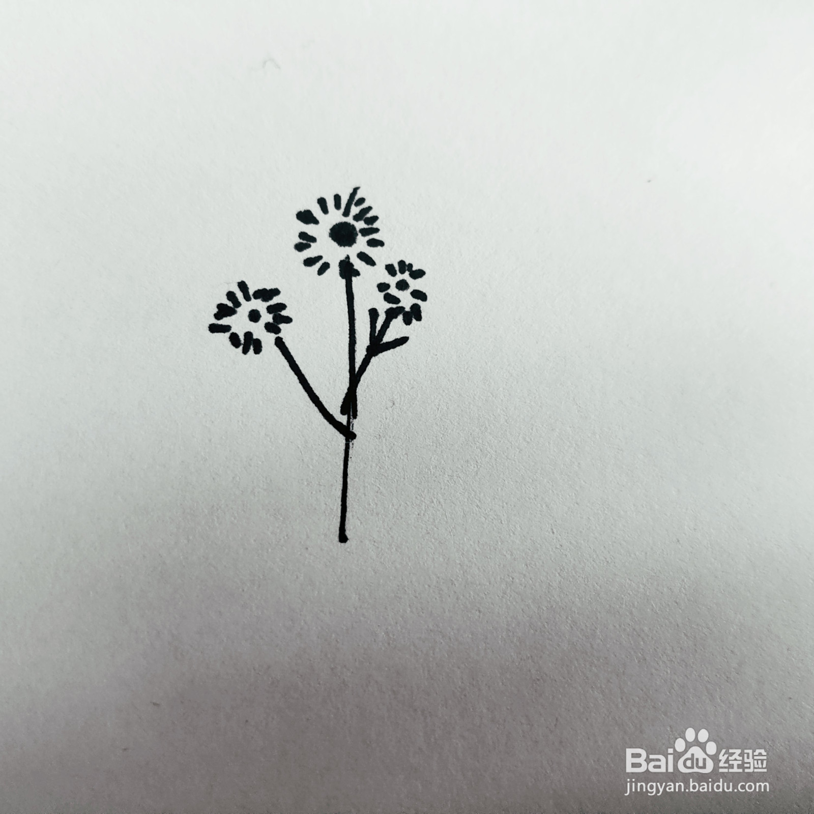 三岁孩子也能够学会的画小花简笔画的画法