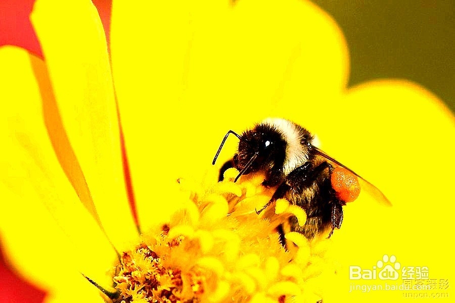 新站的整站规划