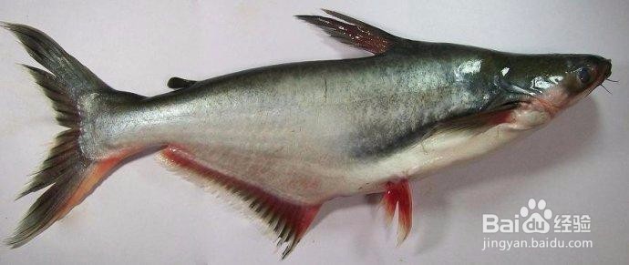 龙利鱼涮火锅的做法