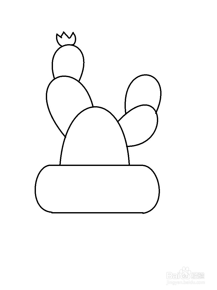 盆栽仙人掌的简单画法