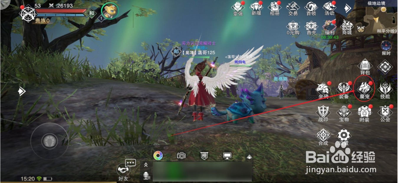 新神魔大陆怎么修改魔宠参战顺序