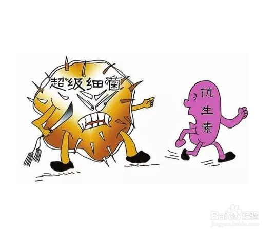 菌群失调怎么办