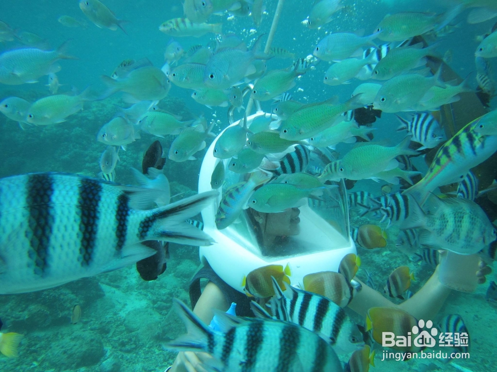 2019年塞班岛旅游的游玩项目价格费用报价