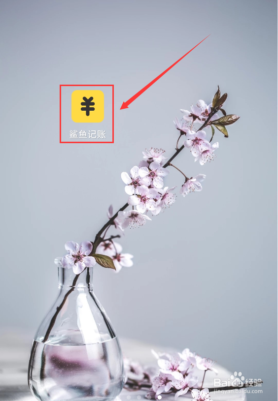 鲨鱼记账怎么注册账号