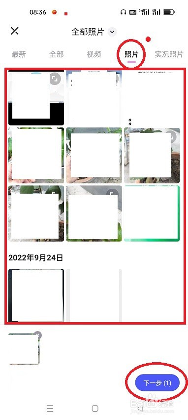 怎么用蛋啵APP给宝宝制作表情包
