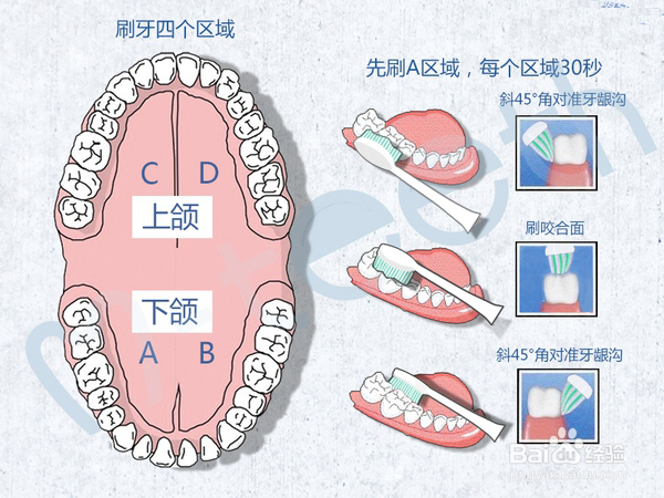 电动牙刷正确使用方法图解 电动牙刷品牌排行榜