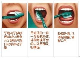 洁齿白净心得