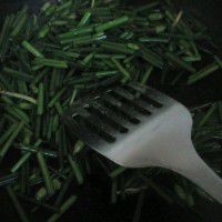 韭菜炒海肠怎么做