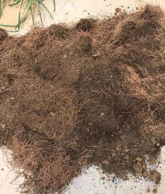 土里面有虫子怎么去除