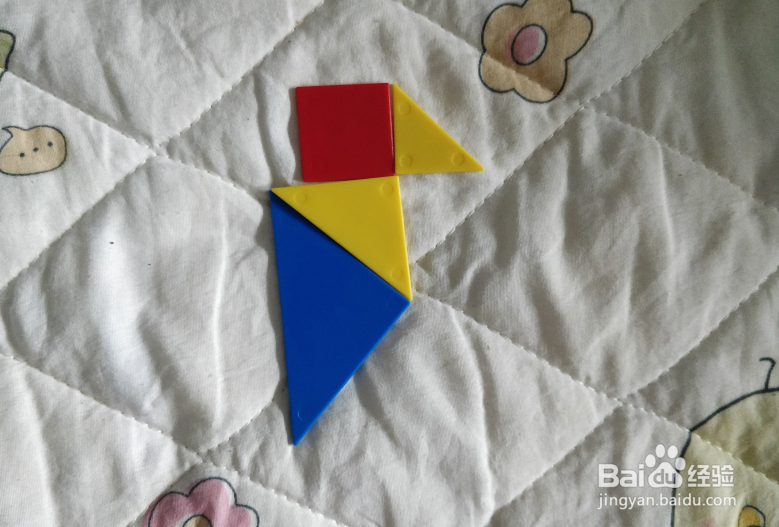 用七巧板智力拼图怎么拼绿头鸭