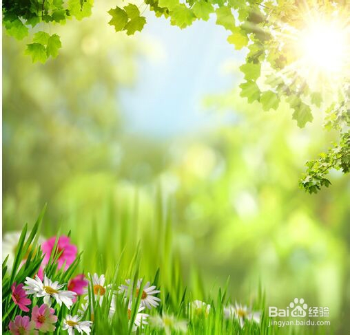 你说，去哪里享受一下阳光呢？